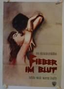 Fieber im Blut (Splendor in the Grass)
